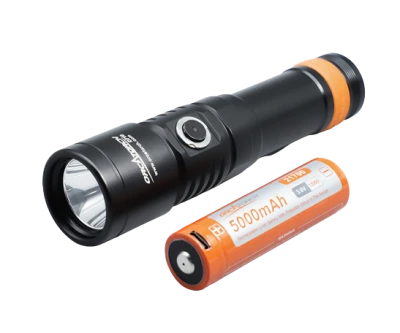 D710 - Dive Light - Image 3