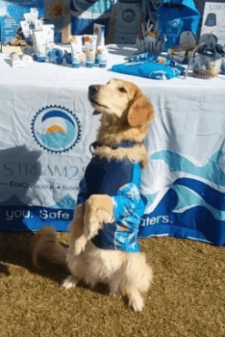 Dog Rash Guard “Turtle Sleeves”- Discontinued