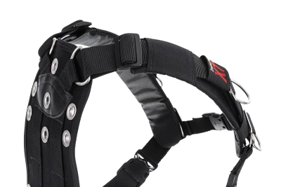 Transpac XT - Image 4