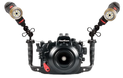 Sea Dragon Ball Joint Adapter - Image 3